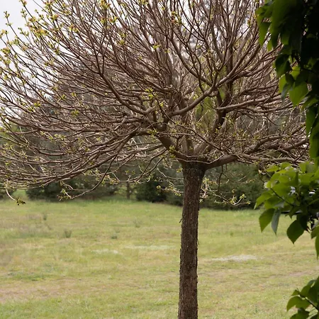 Nyaraló Agroturystyka Wiosna *