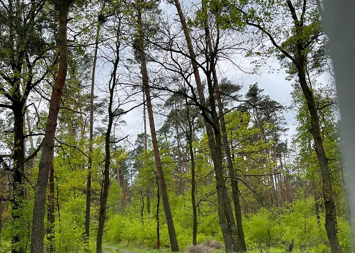 Agroturystyka Wiosna * Wiosna