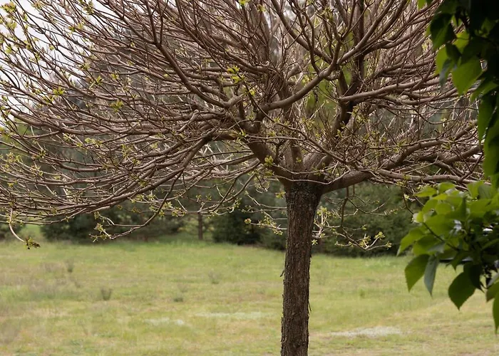 Holiday home Agroturystyka Wiosna *